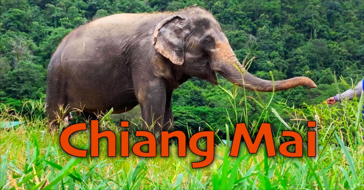 Why Is Chiang Mai A Good Place To Live & Date Thai Girls?